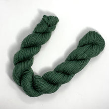 Load image into Gallery viewer, Nurturing Fibres | SuperTwist DK Yarn: 50g Merino Wool
