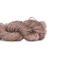 Load image into Gallery viewer, Nurturing Fibres SuperTwist DK in Aged Leather