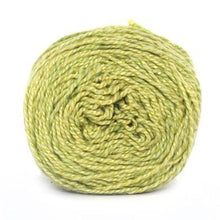 Load image into Gallery viewer, Nurturing Fibres Eco-Fusion Yarn Lime