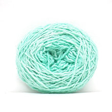 Load image into Gallery viewer, Nurturing Fibres Eco-Lush Yarn Mint
