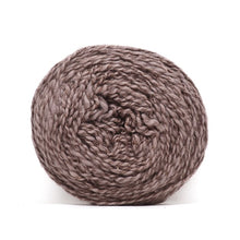 Load image into Gallery viewer, Nurturing Fibres Eco-Lush Yarn Pecan