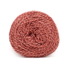 Load image into Gallery viewer, Nurturing Fibres Eco-Lush Yarn Persian