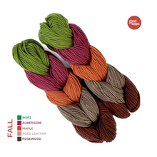 Load image into Gallery viewer, Stripy Sock Yarn Set | A 5-Color Merino Adventure