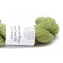 Load image into Gallery viewer, Nurturing Fibres SuperTwist DK in Knysna