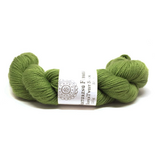 Load image into Gallery viewer, Nurturing Fibres SuperTwist Sock Yarn Nori