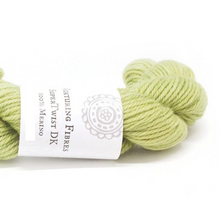 Load image into Gallery viewer, Nurturing Fibres SuperTwist DK in Pear
