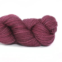 Load image into Gallery viewer, Nurturing Fibres SuperTwist Sock Yarn Vintage Rose